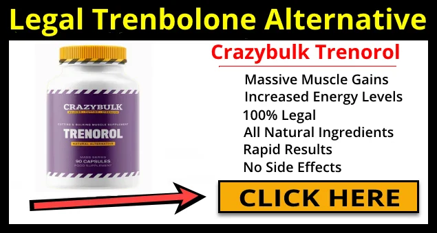 How We Improved Our legal steroids alternatives In One Day